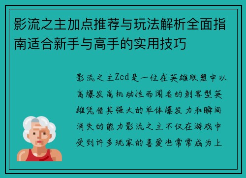 影流之主加点推荐与玩法解析全面指南适合新手与高手的实用技巧